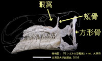 南面
