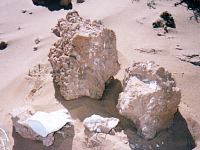 [転石の中の化石]